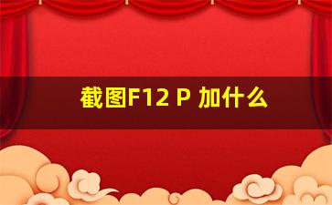 截图F12 P 加什么